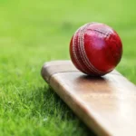 Cricket Wallpapers 4K