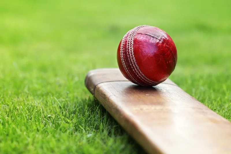 Cricket Wallpapers 4K
