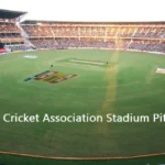 Vidarbha Cricket Association Stadium Pitch Report
