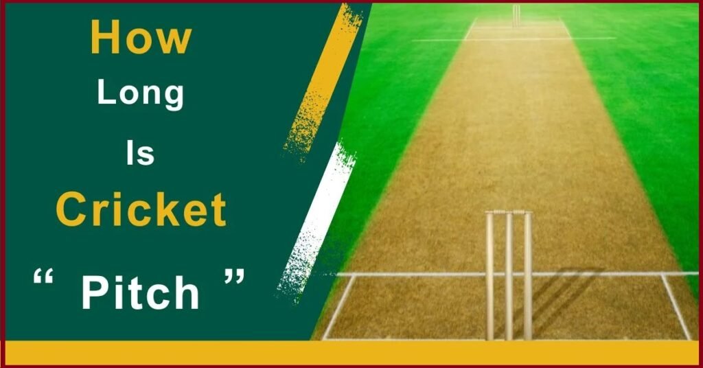 cricket pitch length