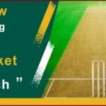 cricket pitch length