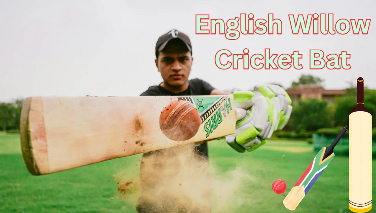 English Willow Cricket Bat