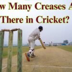 How Many Creases Are There in Cricket?