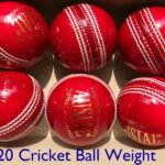 T20 Cricket Ball Weight