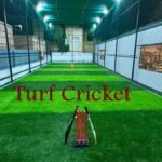 Turf Cricket
