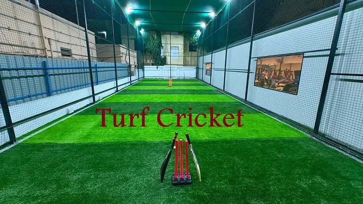 Turf Cricket