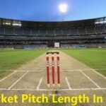 Cricket Pitch Length In Feet