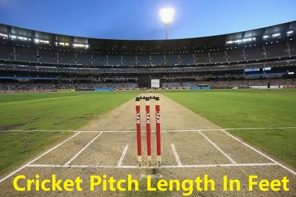 Cricket Pitch Length In Feet