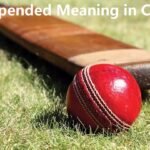 Suspended Meaning in Cricket
