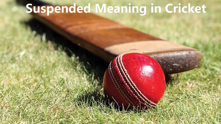 Suspended Meaning in Cricket