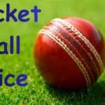 Cricket Ball Price