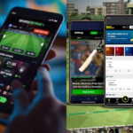 What to Check Before Using a Cricket Betting Site